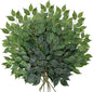 24PCS Ficus Leaves Artificial Branches 24" Faux Ficus Greenery Tree Branches Fake Ficus Leaves Sprays for Tree DIY Arch Wedding Wall Decor - Green