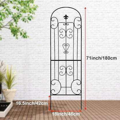 70"X18" Metal Garden Trellis for Climbing Plants, Climbing Plant Support, Heavy-Duty Steel Garden Trellis for Indoor & Outdoor Vines Plant Rose Vegetable Support Black (2, Pattern-C)