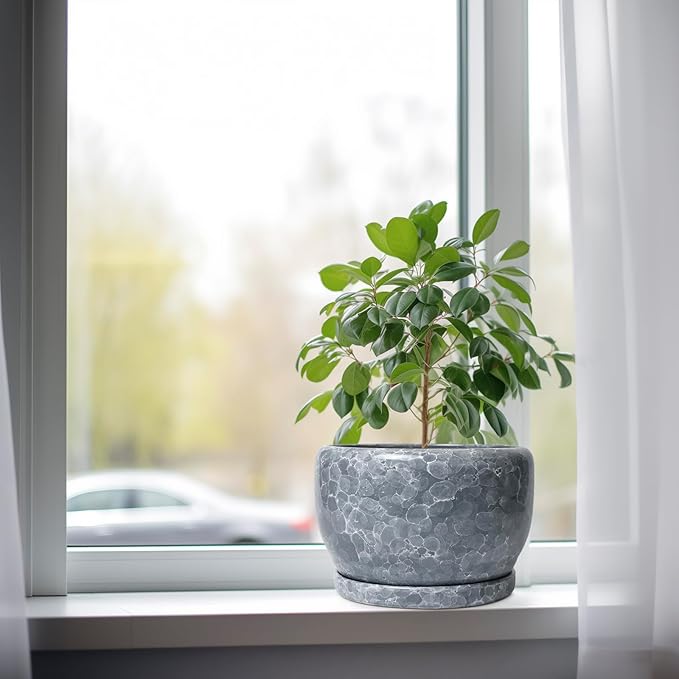 SQOWL 8 inch Plant pots Indoor - Ceramic Planter with Drainage Hole and Plant Saucer, Decorative Ceramic Flower Pot Outdoor, Modern Round Planter, Patio Porch Garden Decor, Garden Gifts, Gray