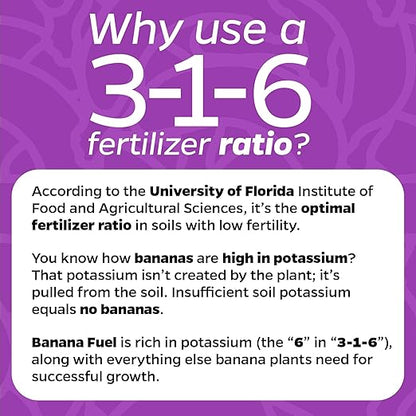 Wellspring Gardens Banana Fuel Liquid Fertilizer - Plant Fertilizer Concentrate - Plant Food - Formula for Banana Trees & Plants - Grow Healthy and Happy Plants - 32 fl oz