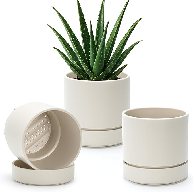 Phoenix Vine 6 Inch Planter Pot with Drainage Hole & Saucer, Deep Water Catch Tray, Straight Cylindrical Round Pot for Plants, Oatmeal, Pack of 3, 23-E-S-3