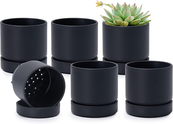 Phoenix Vine 4 Inch Planter Pot with Drainage Hole & Saucer, Deep Water Catch Tray, Straight Cylindrical Round Pot for Plants, Matte Black, Pack of 6, 23-C-R-6