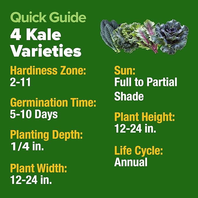 HOME GROWN Heirloom Vegetable Seeds Vegetable Seeds for Planting Home Garden, Beans, Carrots, Peppers, Cucumber, Kale, Pepper Seeds, Tomato (4 Kale)