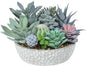 Premium Assorted Artificial Succulent Collection - Large Real Touch Artificial Cactus, Aloe Vera & Succulent Plants Artificial with Pots for Home Office Indoor (Artificial Glass - Pot)