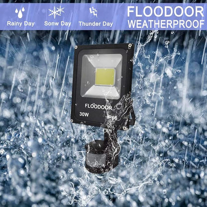 30W LED Motion Sensor Light Outdoor Safety Waterproof 12-24V AC/DC IP66 Super Bright Floodlight, 6000K, Daylight White, 150W Bulb Equivalent, 2700LM, PIR Intelligent Sensor Light (No Plug)