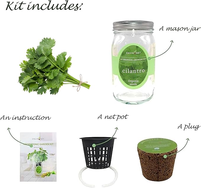 Hydroponic Herb Growing Kit, Self-Watering Mason Jar Window Herb Garden Starter Kit Indoor, Grow Your Own Herbs from Organic Seeds (Cilantro)