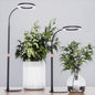 bseah Grow Light, Plant Stand Light for Indoor Plants 2 Pack, Full Spectrum Desk Grow Lamp with Pedestal, Automatic Timer for 3H/9H/12H, Height Adjustable
