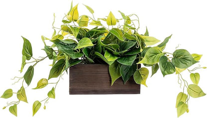 MyGift Vibrant Lifelike Artificial Plant Pothos Leafy Vine Greenery in Burnt Brown Solid Wood Rectangular Planter Box