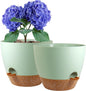 10 inch Self Watering Pots, 2 Pack Plastic Planters with Mesh Drainage Holes for Garden Plants and Flower, Plants Pots with Deep Reservoir for Indoor Outdoor Plants, Green with Brown