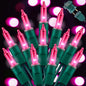 LAMPHOME Pink Christmas Valentine's String Lights 100 Mini Incandescent Fairy Light Decor 20 Ft Green Wire Indoor & Outdoor Party Patio Bedroom, Xmas Tree Garland Easter Holiday Decoration