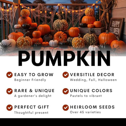 Exotic Black Kat Pumpkin Seeds for Planting (10 Seeds) – Deep Black, Smooth-Skinned Pumpkins – Rare Decorative Variety for Fall Gardens, Halloween Displays & Autumn Décor