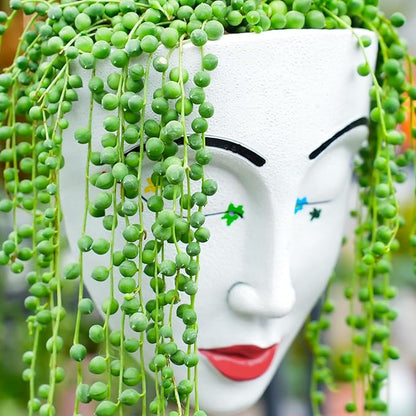 4" String of Pearls, Live Trailing Succulent Fully Rooted in Pots with Soil Mix, Rare House Plant for Home Office Wedding Hanging Decoration, DIY Projects, Party Favor