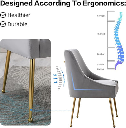 Velvet Dining Chairs Set of 2, Furniture Collection Modern Contemporary Upholstered with Polished Gold Metal Legs(Light Grey)
