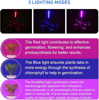 LED Grow Lights for Indoor Plants 20 LED, Plant Growing Lights Full Spectrum Auto ON Off with 3/9/12H Timer, 9 Dimmable Lightness Clip-On Desk Grow Lamp Bulb