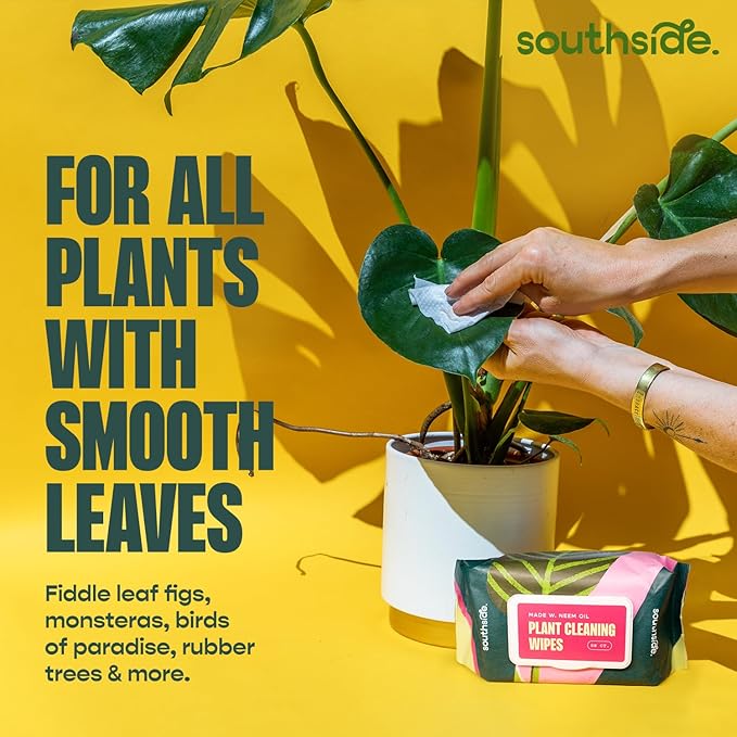 Plant Cleaning Wipes by Southside Plants - Gentle, Plant-Based Wipes for Shiny Leaves and Better Photosynthesis - Unscented, Extra Thick Waffle Weave Leaf Wipe for Indoor & Outdoor Plants - 80 Ct