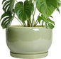 SQOWL Ceramic Planter - 10 Inch Pot for Plants Indoor Outdoor, Round Modern Flower Pot with Drainage Hole and Saucer, Decorative Large Planter, Office Decor, Plant Lovers Gifts, Green