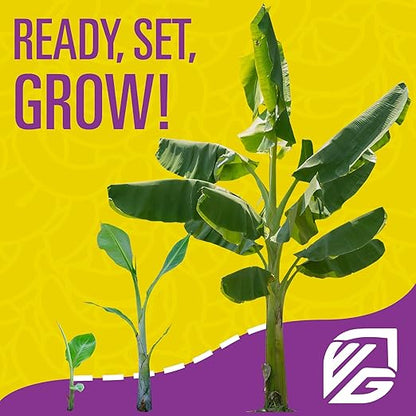 Wellspring Gardens Banana Fuel Liquid Fertilizer - Plant Fertilizer Concentrate - Plant Food - Formula for Banana Trees & Plants - Grow Healthy and Happy Plants - 32 fl oz