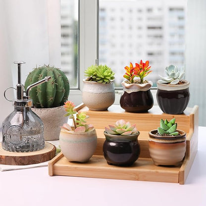 T4U Small Ceramic Succulent Pots with Drainage - Set of 12, Mini Pots for Plants, Home and Office Decor, Plant Lover Gifts for Women