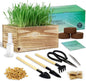 Cat Grass Kit for Indoor Cats Complete with Rustic Wood Planter, Organic Wheat Grass Seed and Soil, Grows in 7 Days, Prevent Hairballs and Aid Digestion Ideal Birthday Christmas Gift for Cat Lovers