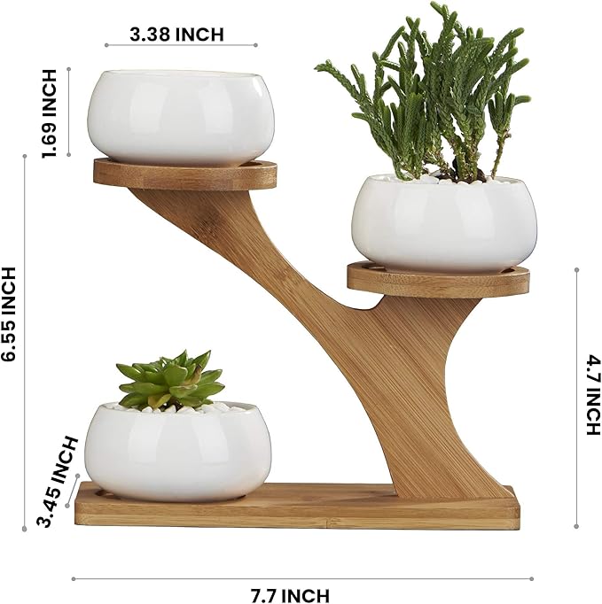 FLOWERPLUS Planter Pots Indoor, 3 Pack 3 Inch White Ceramic Decorative Small Round Succulent Cactus Flower Plant Pot with Tree Tier Bamboo Stand for Garden Kitchen Home Office Desk Decorations