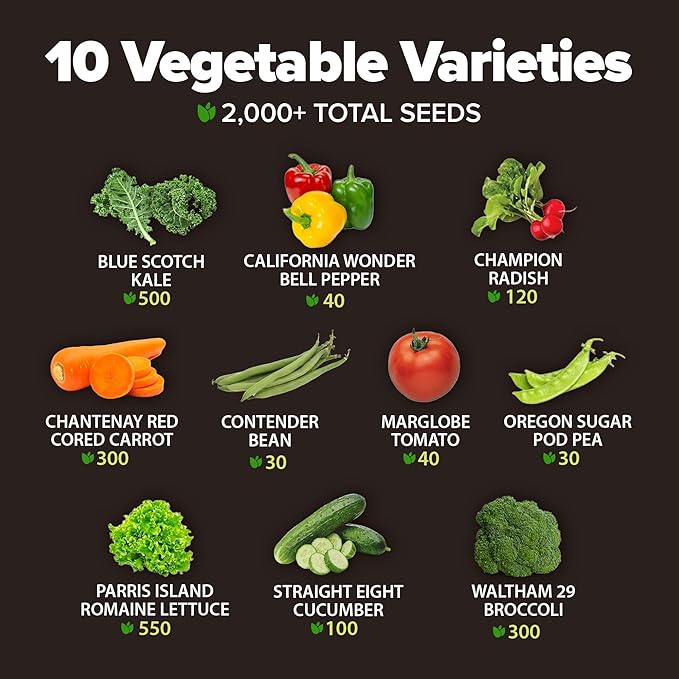 HOME GROWN Premium USA-Grown Vegetable Seeds - 10 Variety Pack with 2,000+ Non-GMO Heirloom Seeds for Planting - Garden Vegetable Seeds for Indoor & Outdoor Planting - Survival Seed Vault Kit