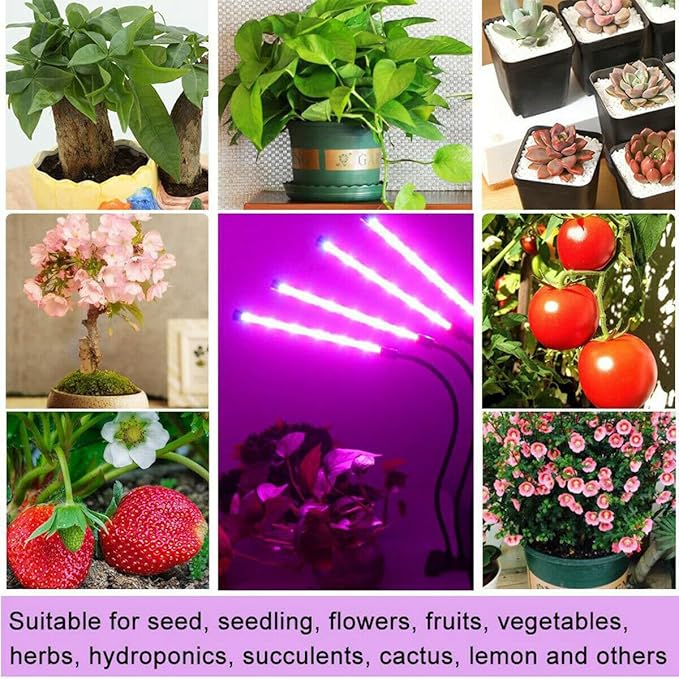 Clip On Grow Light for Indoor Plants,Full Spectrum Led Plant Grow Lights with Auto-Timer, Plant Growing Lamp for Seed Starting,Houseplants, Bonsai, Pot Plant,4 lamp