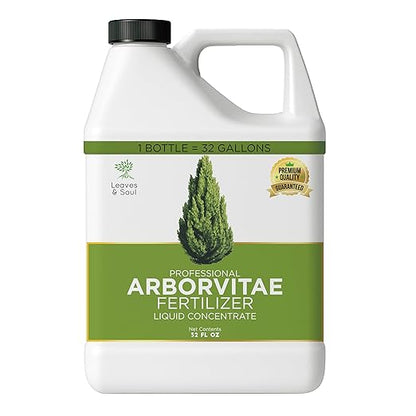 Leaves and Soul Professional Arbor Vitae Tree Fertilizer Liquid Concentrate - 6-4-6 Blend for Arbor Vitae, Garden Use - Liquid Plant Food for Arbor Vitae Trees and Shrubs Outdoors - 32oz