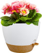 12 inch Large Self Watering Pots for Indoor Outdoor Plants, Plant Pots with Mesh Drainage Holes for Garden House Plants, Plastic Planters with Reservoir for Flower Plants, White with Brown