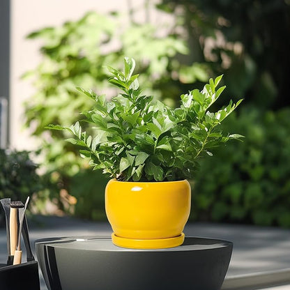 SQOWL 6 Inch Plant Pot - Ceramic Planter with Drainage Hole and Saucer, Modern Ceramic Flower Pots for Indoor Plants Outdoor, Round Decorative Small Planter, Desk Decor, Garden Gifts, Yellow