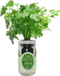 Hydroponic Herb Growing Kit, Self-Watering Mason Jar Herb Garden Starter Kit Indoor, Windowsill Herbs Garden, Grow Your Own Herbs from Organic Seeds (Parsley)
