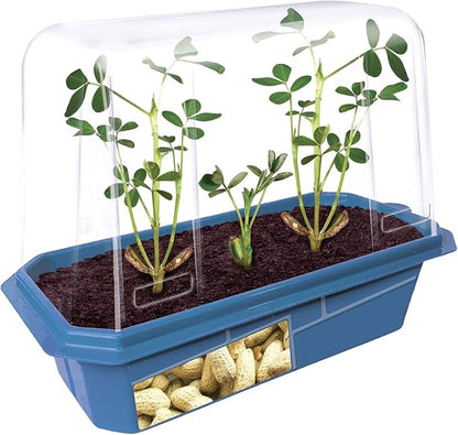Peanut Plant Garden Kit, Grow Delicious Healthy High Protein Peanuts, Planting Indoor Seeds and Outdoor Gardening Plants, Includes Everything Needed Just Add Water