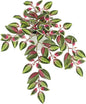 Briful Small Faux Plants Indoor Artificial Potted Silk Plants Fake Watermelon Peperomia Trailing Vine Plant for Home Office Bathroom Table Shelf Mantle Modern Decoration(Red Green- 1 Pack)