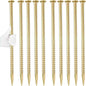 16 Inch Rebar Stakes 1/2 Inch Diameter Galvanized Steel Ground Anchors Heavy Duty Anchoring Spikes for Speed Bump, Parking Curb and Tent (10 Pack)