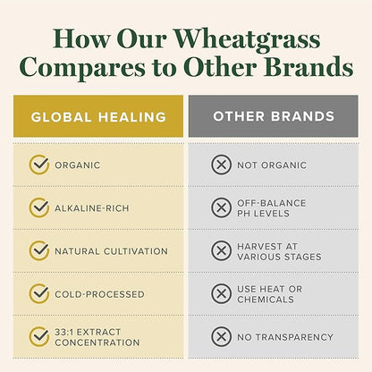 Global Healing Wheat Grass Powder Organic 180g - Nutrient-Dense, Raw Wheatgrass Juice Powder (33:1 Extract) with Strong Antioxidants for Immune Support & Energy Boost - Cold-Process, Non-GMO - 6.3 Oz