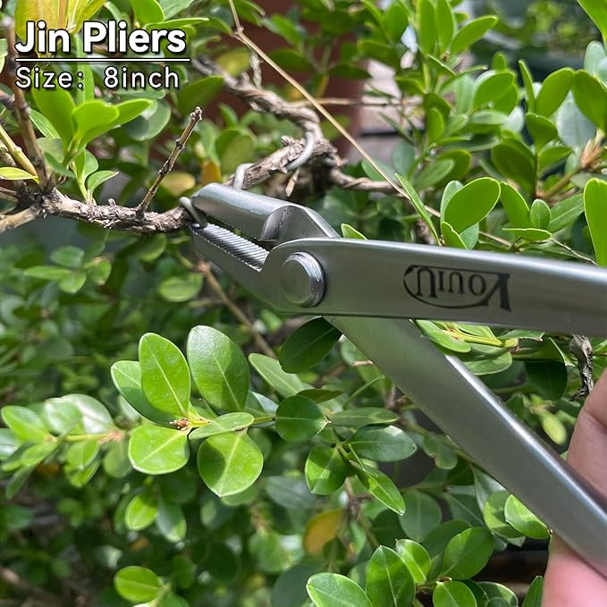 6-Piece Bonsai Tool Set,Concave Cutter,Knob Cutter,Jin Pliers,Wire Cutter,Bonsai Scissors, Root Hook