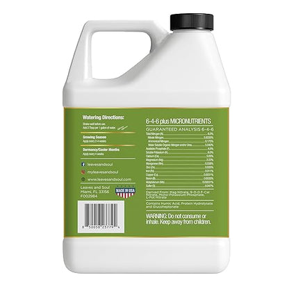Leaves and Soul Professional Arbor Vitae Tree Fertilizer Liquid Concentrate - 6-4-6 Blend for Arbor Vitae, Garden Use - Liquid Plant Food for Arbor Vitae Trees and Shrubs Outdoors - 32oz