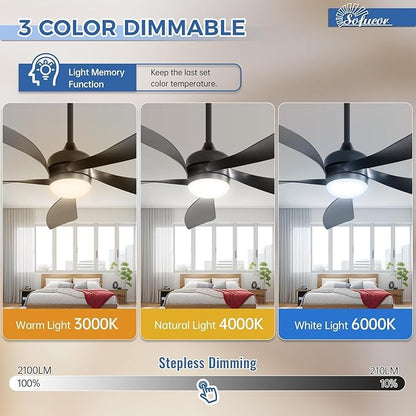 Sofucor 52 Inch Ceiling Fans with Lights and Remote, Outdoor Ceiling Fan with Light 6-Speed 3 CCT 3-Timer, Black Low Profile Ceiling Fan 5 Blade Reversible DC Motor for Living Room Bedroom Patio
