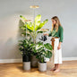 3 Packs Grow Lights for Indoor Plants,Plant Grow Light,80 LEDs Full Spectrum Plant Lights for Indoor Growing with 6/12/16H Timer-WG3