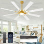 Large Ceiling Fans with Lights: Modern 72 Inch 8 Blade Outdoor Ceiling Fan with Remote APP Control - Dimmable White Gold Big Fan Light Indoor Reversible 6 Speed Quiet DC Motor