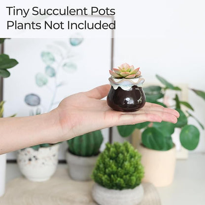 T4U Small Ceramic Succulent Pots with Drainage - Set of 12, Mini Pots for Plants, Home and Office Decor, Plant Lover Gifts for Women