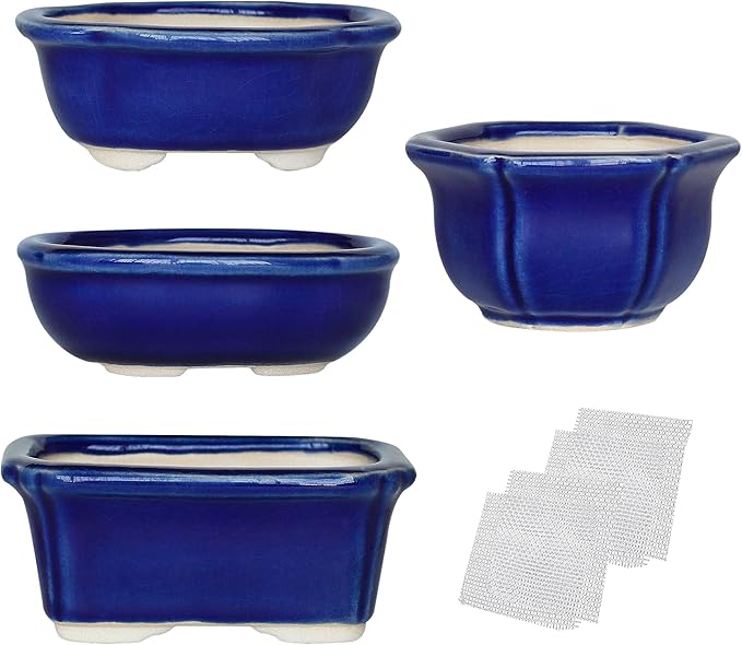 Bonsai Planter Succulent Mini Glazed Pots Value Set of 4, with 4 Soft Mesh Drainage Screens