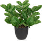 Briful Faux Plants Indoor, Artificial ZZ Plants in Black Pot Fake House Silk Plants for Home Office Dining Table Shelf Decor Bathroom Aesthetic (Green, 1Pack)