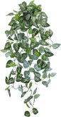 LOYWREE 39-in Long Fake Hanging Plant with Pot Faux Pothos Artificial Potted Plants Small Faux Ivy Vine Plant for Indoor Outdoor Aesthetic Office Living Room Shelf Decor (Black Pot)