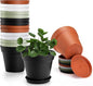 16 Pack Plastic Plant Pots with Drainage Holes and Tray, 4 inch Thickened Indoor Planters Seedlings Nursery Pots for Flowers, African Violet, Succulent and All House Plants, Colorful