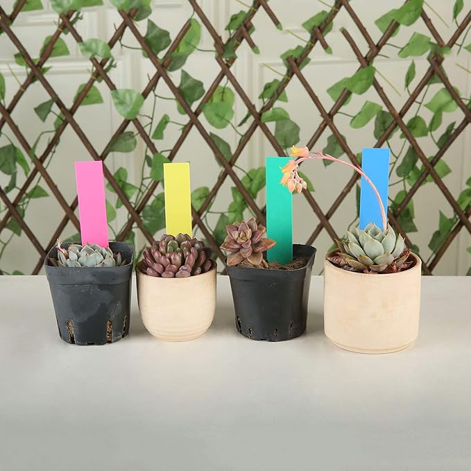 1000 Pcs 4 Inch Plastic Garden Plant Tags Nursery Garden Labels Markers Plant Stakes Waterproof Pot Labels, 5 Colors