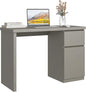 furtble Grey Maple Desk with Drawers, 43'' W Home Office Computer Gaming Table, Modern Vanity Desk with Storage, Wood Writing Workstation for Bedroom, Living Room