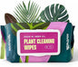 Plant Cleaning Wipes by Southside Plants - Gentle, Plant-Based Wipes for Shiny Leaves and Better Photosynthesis - Unscented, Extra Thick Waffle Weave Leaf Wipe for Indoor & Outdoor Plants - 80 Ct