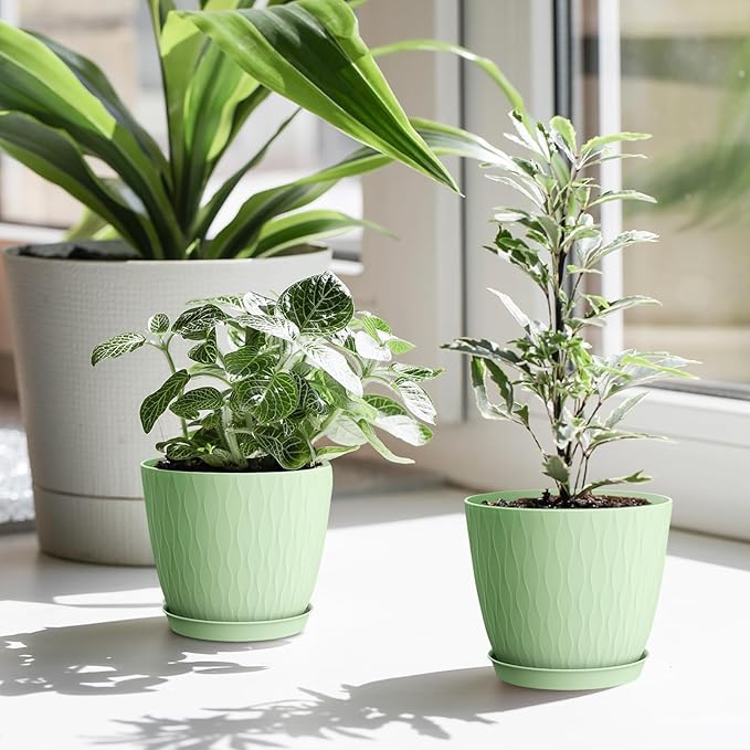 6 Inch Plant Pots, 6 Pack Flower Pots for Indoor and Outdoor Use, Planters with Drainage Holes and Saucers, Green