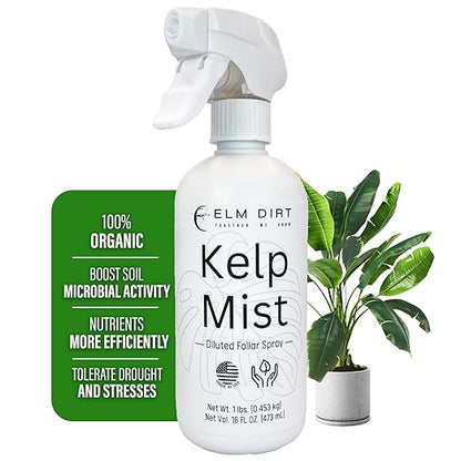 Elm Dirt Kelp Mist 100% Organic Plant Spray - Foliar Spray for Plants Food Indoor House Plants & Outdoor Plant Food | Help Plant Nutrients Efficiently & Boost Soil Activity - Kelp Foliar Mist (16 oz)