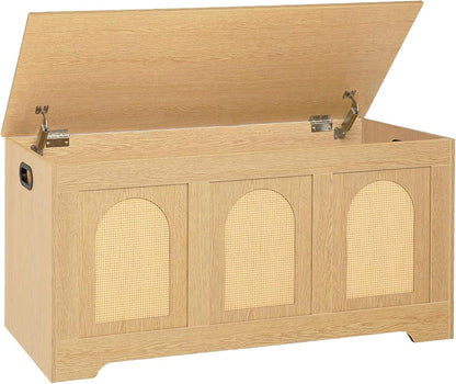 DINZI LVJ Storage Chest, 39.4" Rattan-Like Box with 2 Safety Hinges, Wooden Entryway Shoe Bench with Flip-Top, Storage Trunk for Living Room, Bedroom, Easy Assembly, Natural